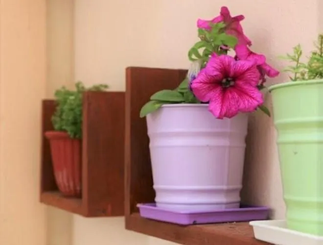 Evelyn * Limenas (Thasos)