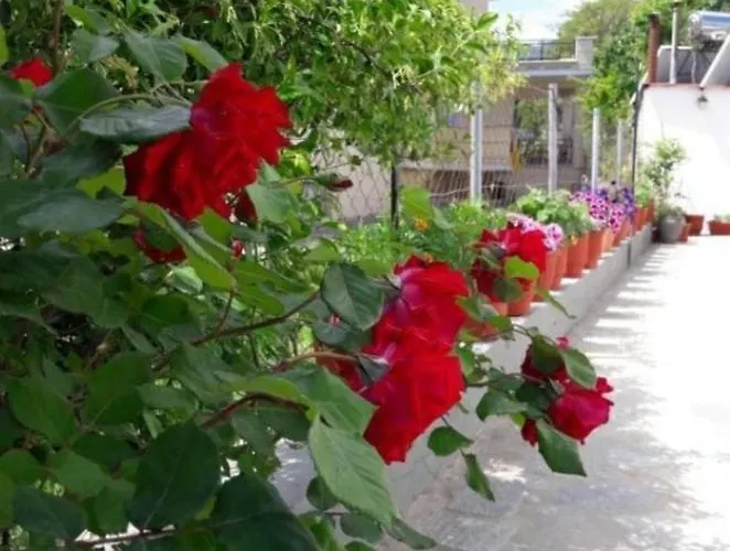 Evelyn Limenas (Thasos)